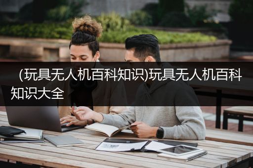 （玩具无人机百科知识)玩具无人机百科知识大全