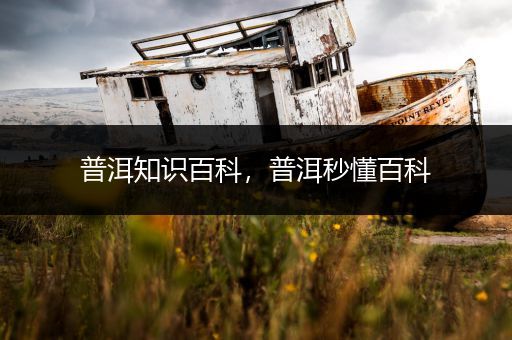 普洱知识百科，普洱秒懂百科
