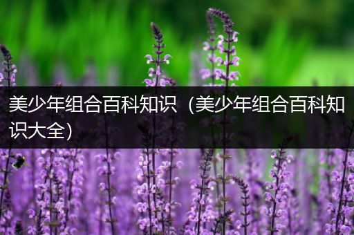 美少年组合百科知识（美少年组合百科知识大全）