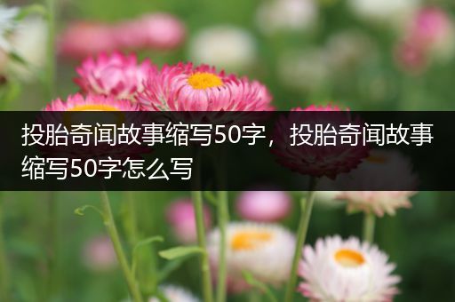 投胎奇闻故事缩写50字，投胎奇闻故事缩写50字怎么写