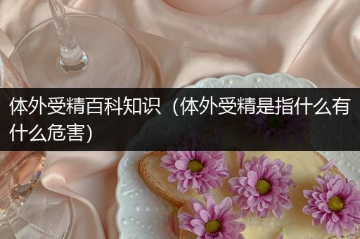 体外受精百科知识（体外受精是指什么有什么危害）