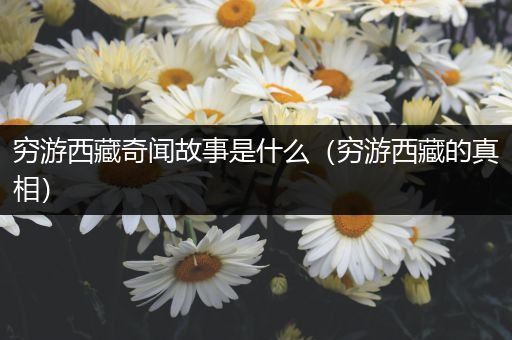 穷游西藏奇闻故事是什么（穷游西藏的真相）