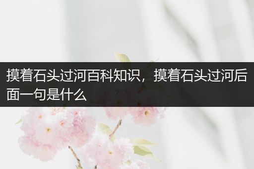 摸着石头过河百科知识，摸着石头过河后面一句是什么
