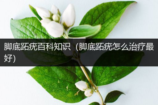 脚底跖疣百科知识（脚底跖疣怎么治疗最好）