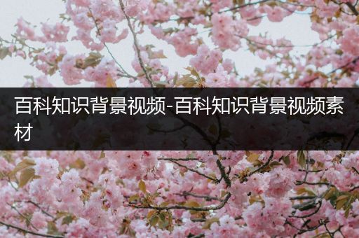 百科知识背景视频-百科知识背景视频素材