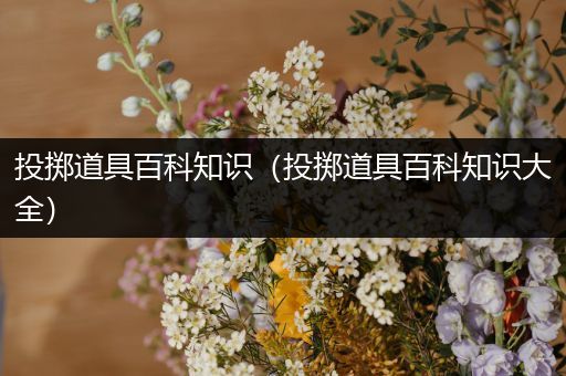 投掷道具百科知识（投掷道具百科知识大全）