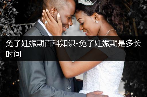 兔子妊娠期百科知识-兔子妊娠期是多长时间