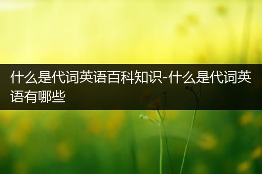 什么是代词英语百科知识-什么是代词英语有哪些