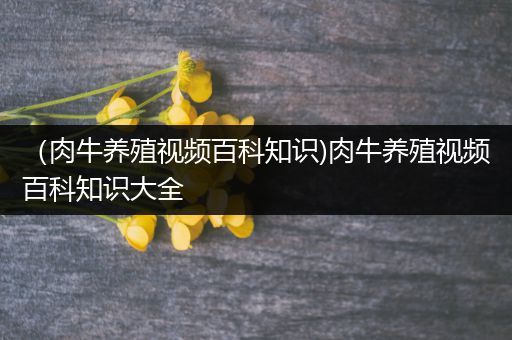 （肉牛养殖视频百科知识)肉牛养殖视频百科知识大全