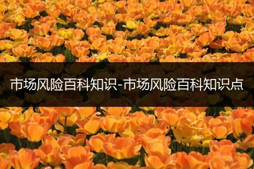 市场风险百科知识-市场风险百科知识点