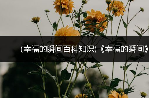 （幸福的瞬间百科知识)《幸福的瞬间》