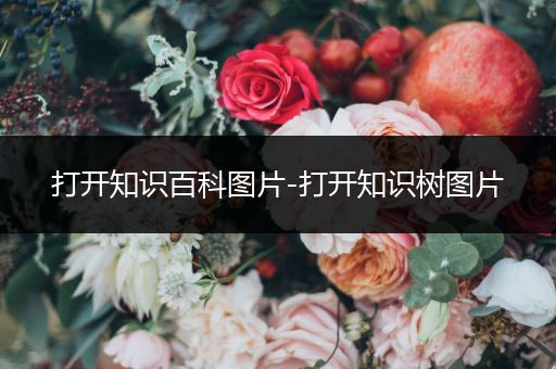 打开知识百科图片-打开知识树图片
