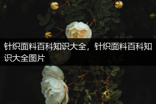 针织面料百科知识大全，针织面料百科知识大全图片