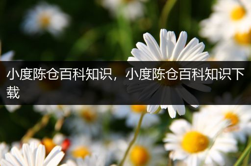 小度陈仓百科知识，小度陈仓百科知识下载