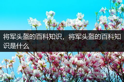 将军头盔的百科知识，将军头盔的百科知识是什么