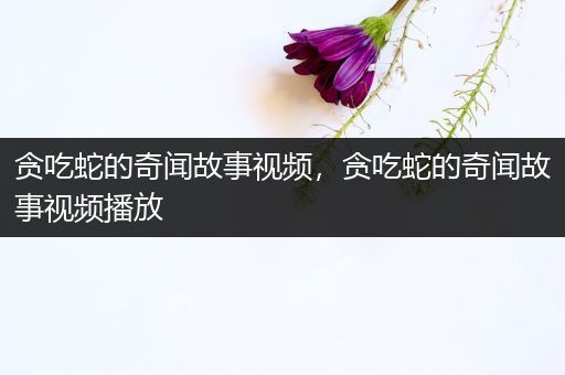 贪吃蛇的奇闻故事视频，贪吃蛇的奇闻故事视频播放