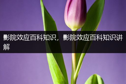 影院效应百科知识，影院效应百科知识讲解