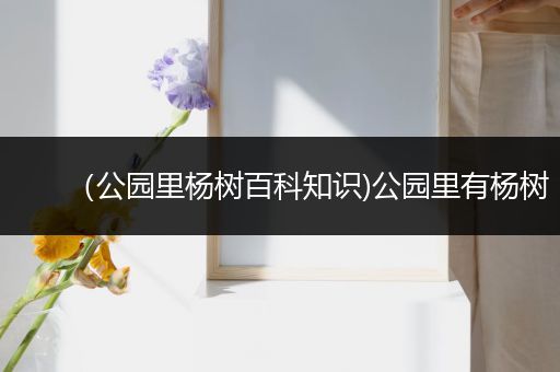 （公园里杨树百科知识)公园里有杨树