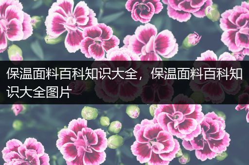 保温面料百科知识大全，保温面料百科知识大全图片