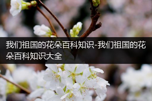 我们祖国的花朵百科知识-我们祖国的花朵百科知识大全