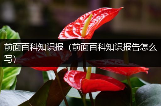 前面百科知识报（前面百科知识报告怎么写）
