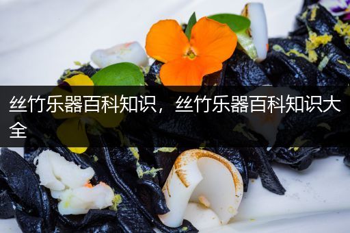 丝竹乐器百科知识，丝竹乐器百科知识大全