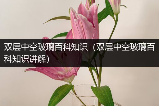 双层中空玻璃百科知识（双层中空玻璃百科知识讲解）