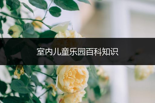 室内儿童乐园百科知识