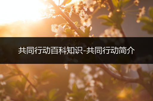 共同行动百科知识-共同行动简介