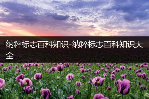 纳粹标志百科知识-纳粹标志百科知识大全