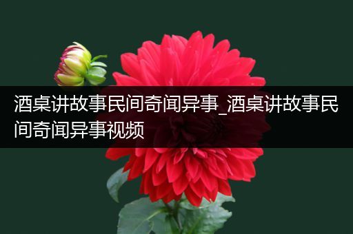 酒桌讲故事民间奇闻异事_酒桌讲故事民间奇闻异事视频