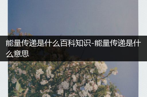 能量传递是什么百科知识-能量传递是什么意思