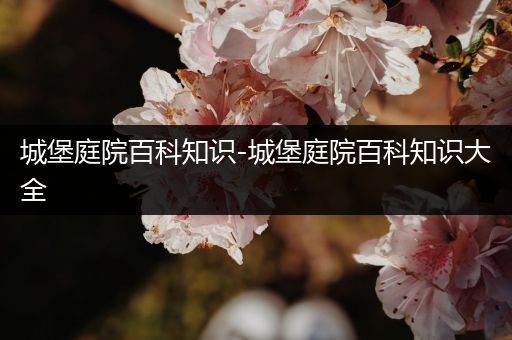城堡庭院百科知识-城堡庭院百科知识大全