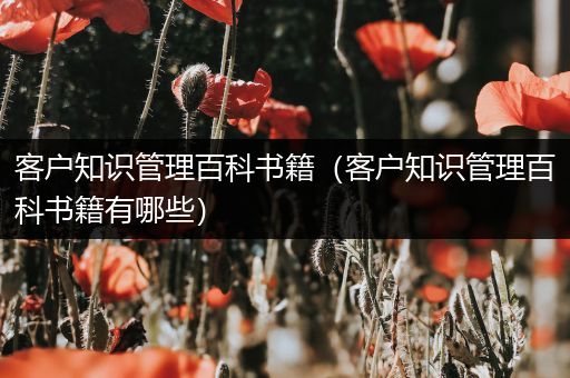 客户知识管理百科书籍（客户知识管理百科书籍有哪些）