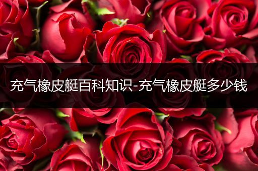 充气橡皮艇百科知识-充气橡皮艇多少钱