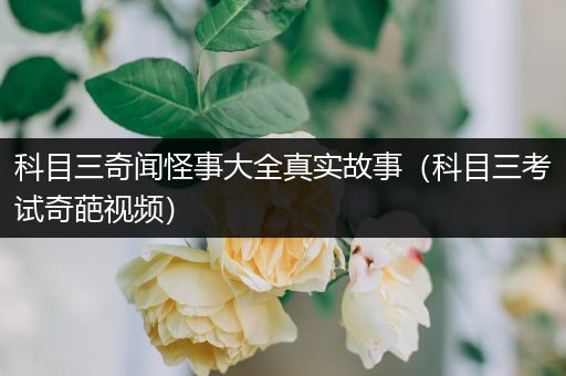 科目三奇闻怪事大全真实故事（科目三考试奇葩视频）