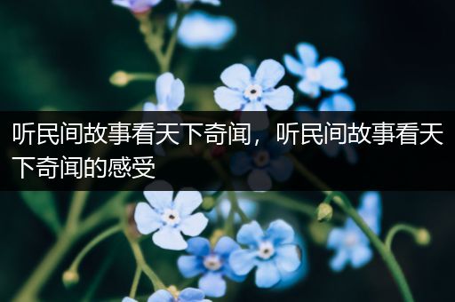 听民间故事看天下奇闻，听民间故事看天下奇闻的感受