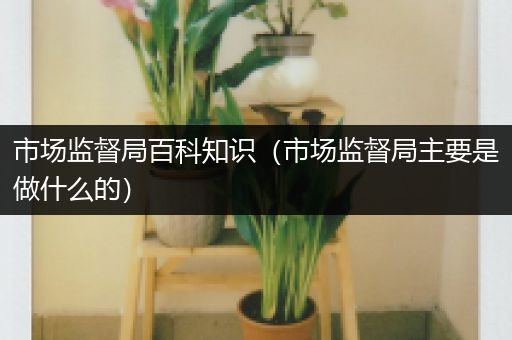 市场监督局百科知识（市场监督局主要是做什么的）