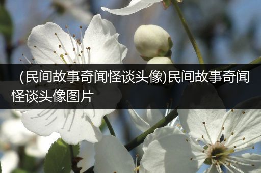 （民间故事奇闻怪谈头像)民间故事奇闻怪谈头像图片