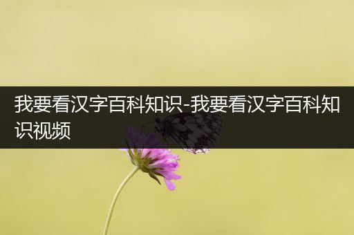 我要看汉字百科知识-我要看汉字百科知识视频