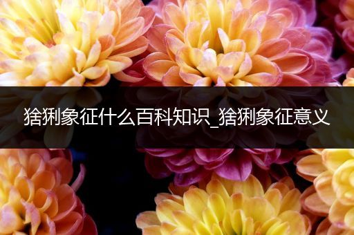 猞猁象征什么百科知识_猞猁象征意义