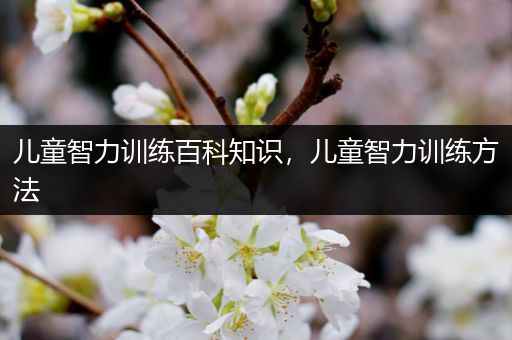儿童智力训练百科知识，儿童智力训练方法