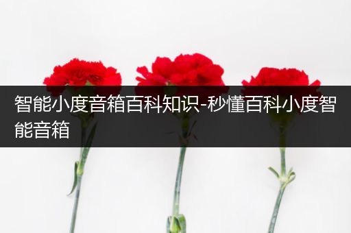 智能小度音箱百科知识-秒懂百科小度智能音箱
