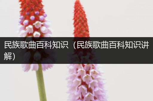 民族歌曲百科知识（民族歌曲百科知识讲解）