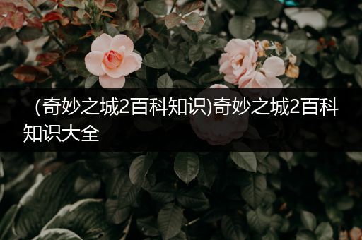（奇妙之城2百科知识)奇妙之城2百科知识大全