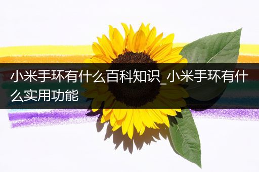 小米手环有什么百科知识_小米手环有什么实用功能