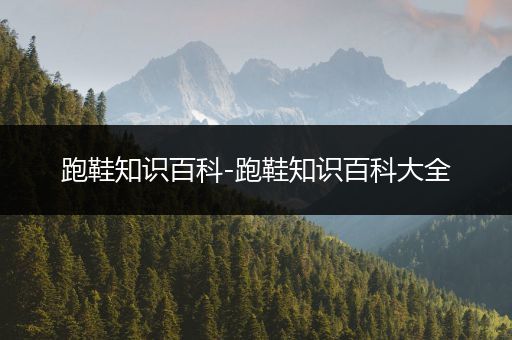 跑鞋知识百科-跑鞋知识百科大全