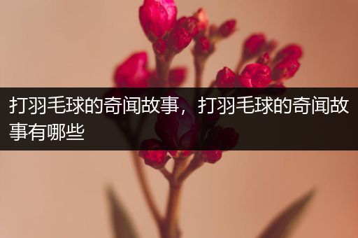 打羽毛球的奇闻故事，打羽毛球的奇闻故事有哪些