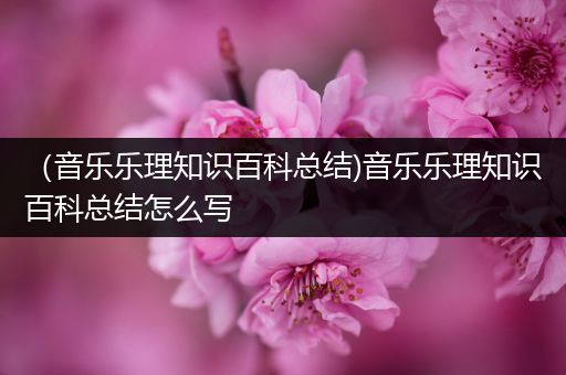 （音乐乐理知识百科总结)音乐乐理知识百科总结怎么写