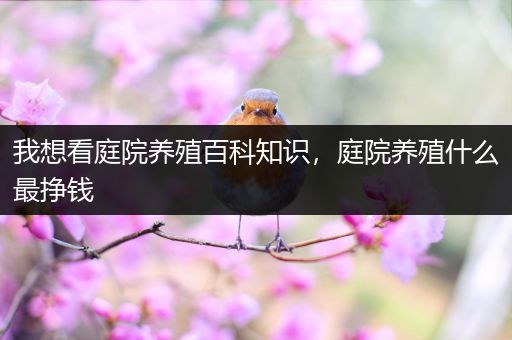 我想看庭院养殖百科知识，庭院养殖什么最挣钱
